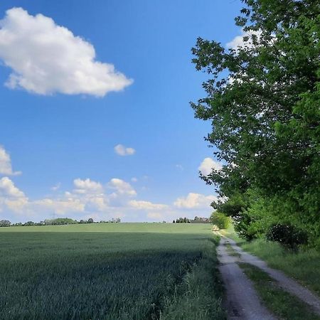 Vierseitenhof Hasenfelde - Ferienwohnung Feldblick Steinhofel Εξωτερικό φωτογραφία
