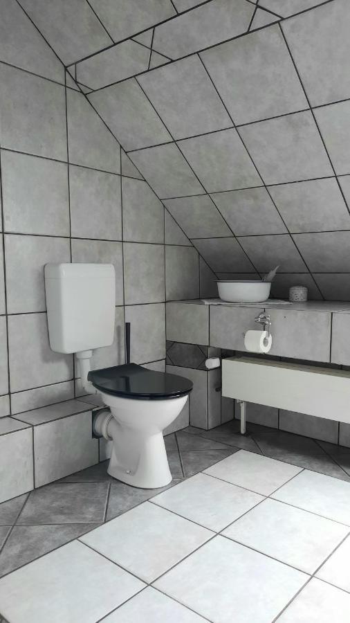 Vierseitenhof Hasenfelde - Ferienwohnung Feldblick Steinhofel Εξωτερικό φωτογραφία