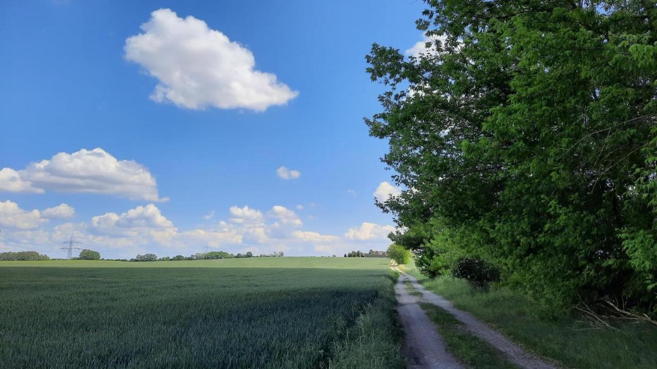 Vierseitenhof Hasenfelde - Ferienwohnung Feldblick Steinhofel Εξωτερικό φωτογραφία
